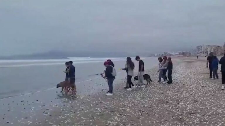 La Serena: Hallan cadáver flotante, podría ser el joven argentino desaparecido