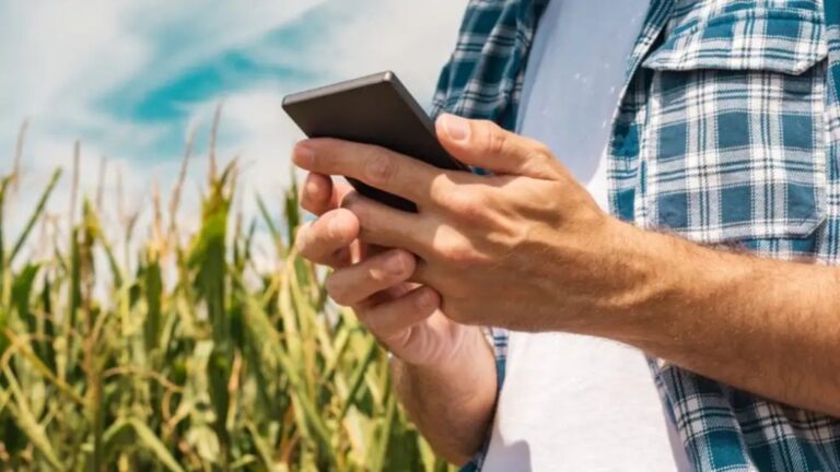 Decisiones inteligentes: la clave para el éxito en la agroindustria actual
