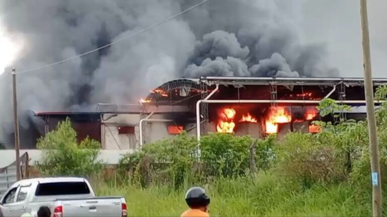 Incendio en frigorífico de Posadas: Tres explosiones y una bombera herida