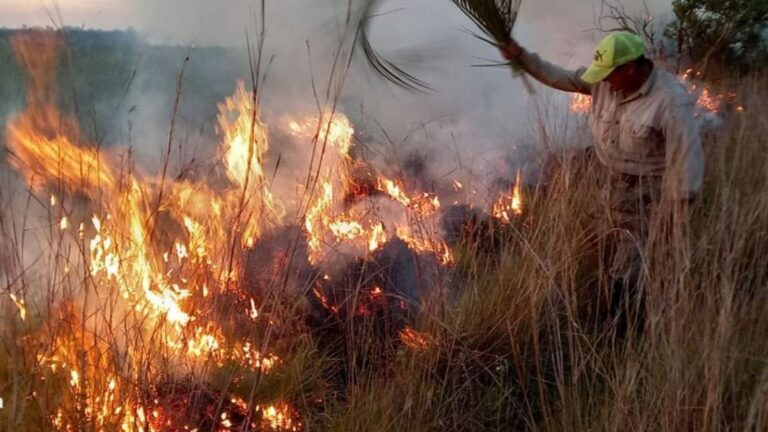 Incendios en Corrientes: Riesgo Muy Alto por Condiciones Críticas
