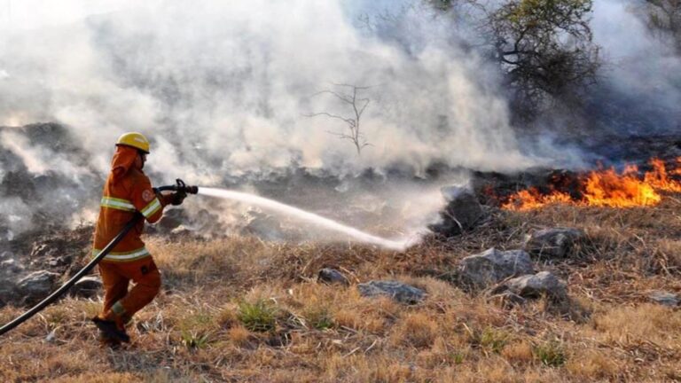 Alerta de incendios forestales en Córdoba: ¡Actúa con precaución!