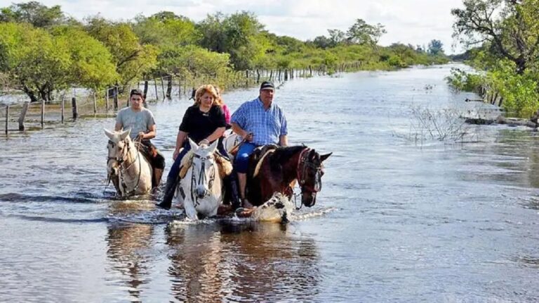 Alerta por retrasos en las obras del Río Salado: ‘No cumpliremos los plazos establecidos’