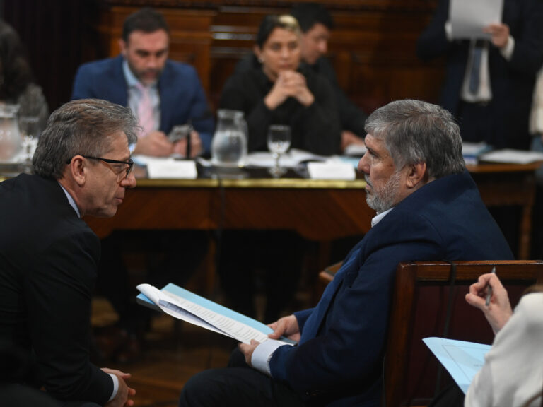 Crisis en la UCR: Divisiones y fracaso del PJ para nombrar representantes clave