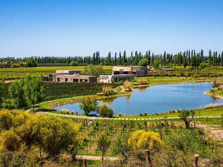 7 Bodegas Argentinas Destacan entre los 50 Mejores Viñedos del Mundo 2025