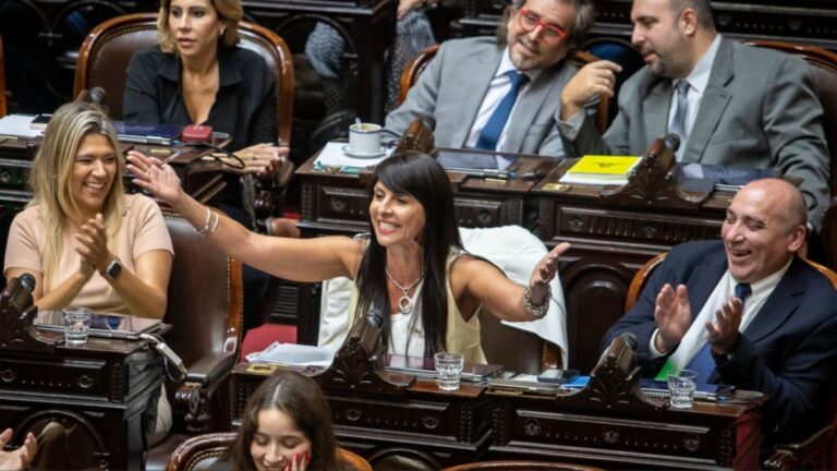 Villaverde en el Senado: diploma rechazado en comisión, futuro en juego
