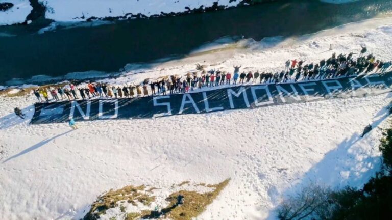 La Legislatura de Tierra del Fuego reconsidera la prohibición de salmoneras ante la oposición local