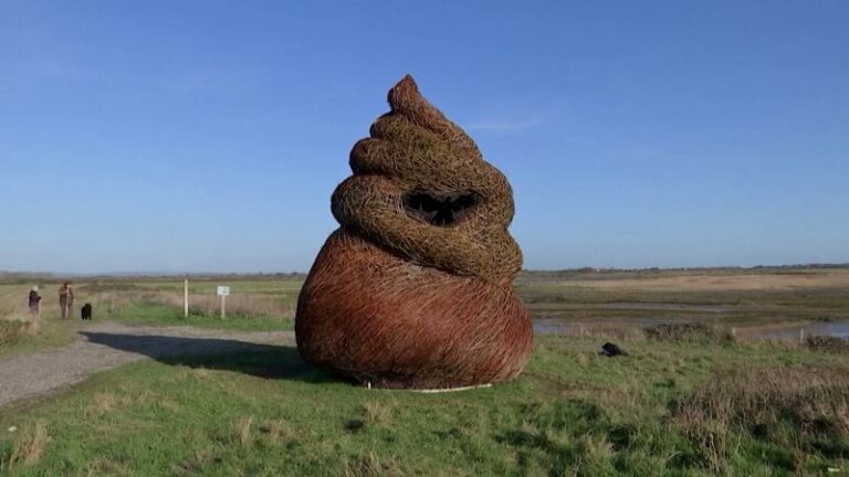 Escultura de mimbre genera polémica al parecerse al emoji ‘poop’