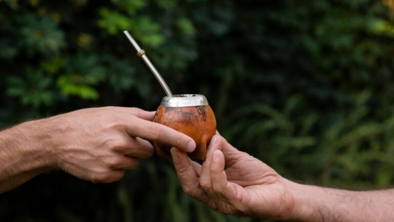 Beneficios del Mate en el Día Nacional: Salud y Tradición