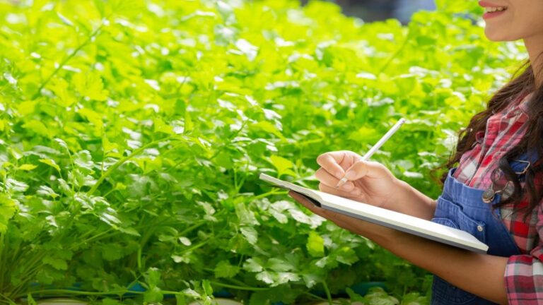 Mujeres al volante: 25% de los empleos en agroindustria son femeninos