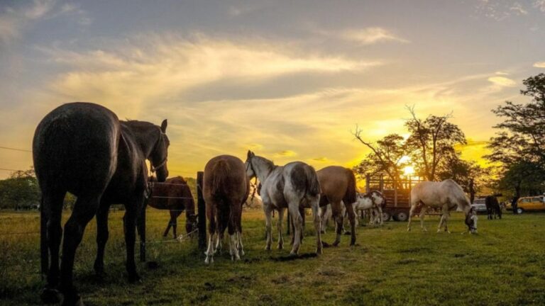 Escapadas de Fin de Semana: 7 Pueblos Encantadores Cerca de Buenos Aires