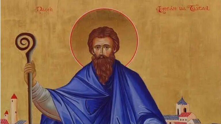 Santo del Día: ¿A quién celebramos el 14 de noviembre?
