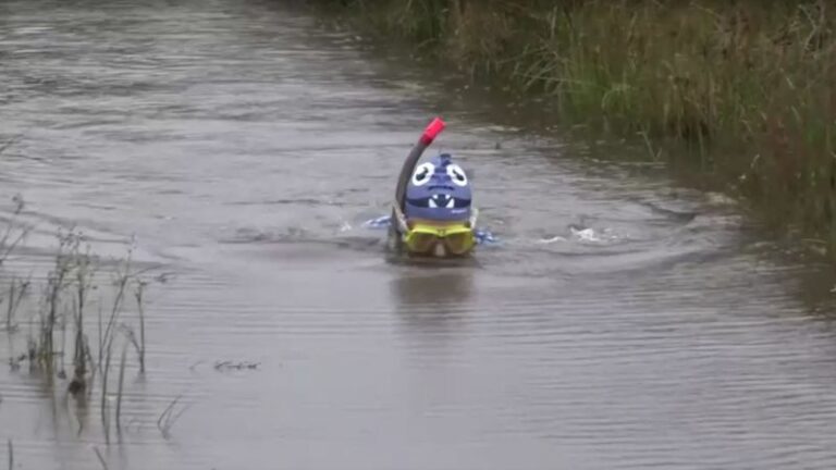Descubre el Campeonato Mundial de Snorkel en los Pantanos de Gales