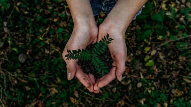 Financiamiento Sostenible: Inversiones ESG que Transforman Empresas