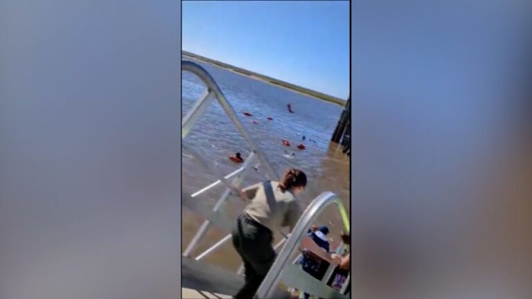 Caos tras el colapso de la pasarela del muelle