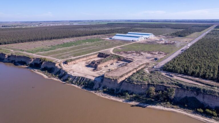 Gobierno Aprueba RIGI para Nueva Terminal Portuaria