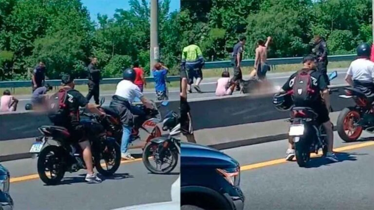 Un niño de 11 años muere atropellado en la autopista Buenos Aires-La Plata; el conductor intenta huir