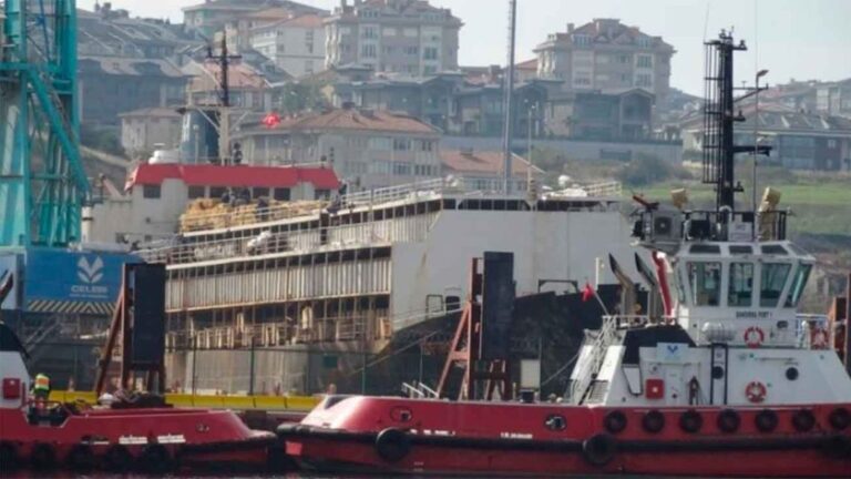 Urgente: Plataforma Animalista exige acción por buque con 3.000 vacas varadas