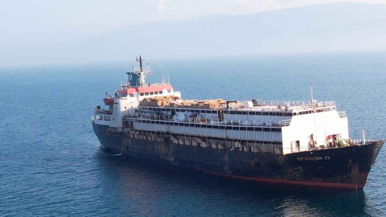 Casi 3,000 vacas uruguayas atrapadas en Turquía: riesgo de muerte por hambre