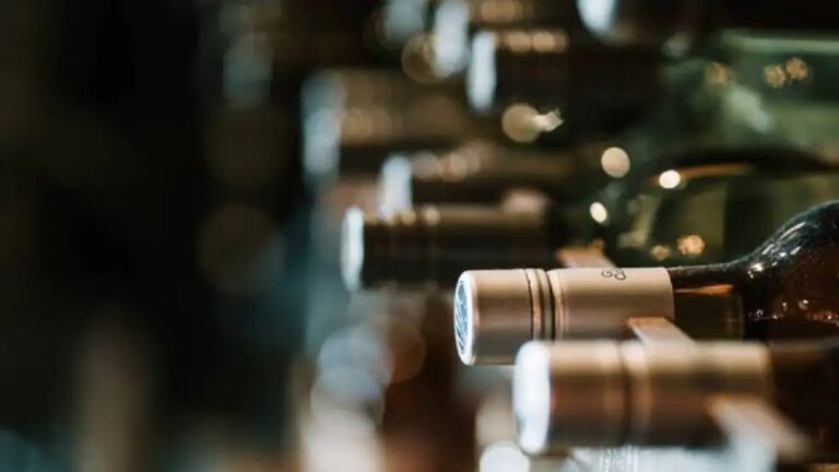 Argentina celebra el Día Nacional del Vino: ¿Por qué el 24 de noviembre es tan especial?