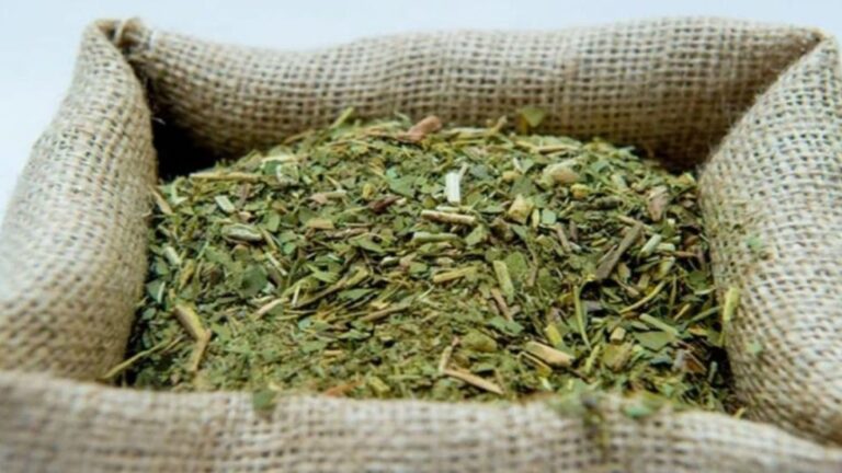 Productores de Yerba Mate Alertan sobre el ‘Desarme Injustificado’ del INYM