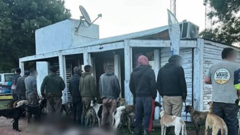 Desarticulan banda de cazadores furtivos con galgos en Pila