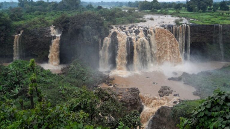 Descubre África: Vuela a tu Aventura Diariamente