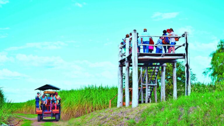 Descubre las Joyas del Norte Uruguayo Este Verano