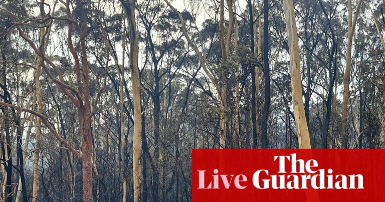 Noticias de Australia: Fallece bombero en NSW; Bragg propone construir casas en todos los patios
