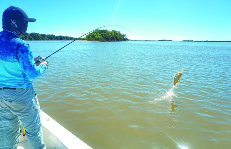 Pesca en el Litoral argentino
