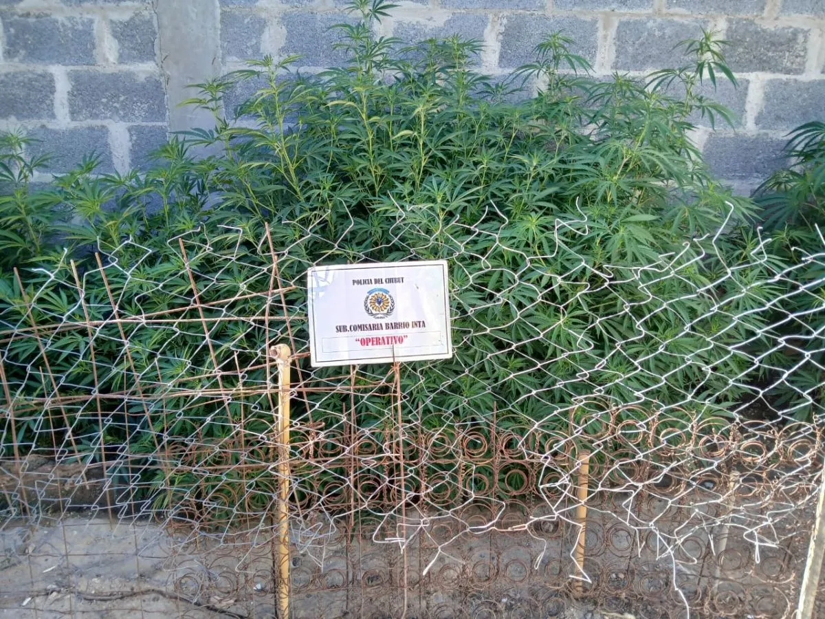 Amenaza familiar durante el asalto