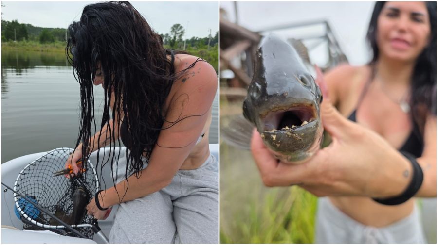 Ambiente en Cristal del Lago