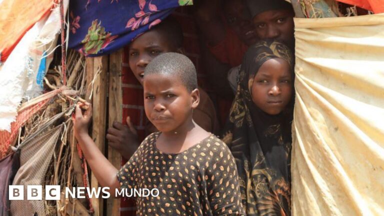 El papel de EE.UU. en Somalia: ¿Por qué Trump rechaza a sus inmigrantes mientras el Pentágono intensifica los bombardeos?