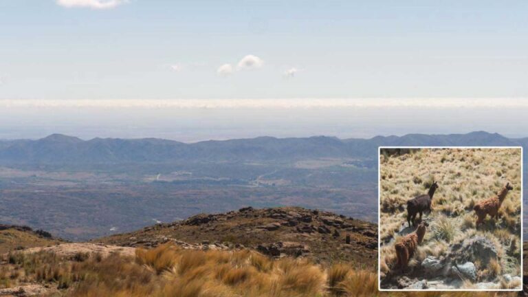 Sierras de Córdoba: La iniciativa natural para asegurar el suministro de agua