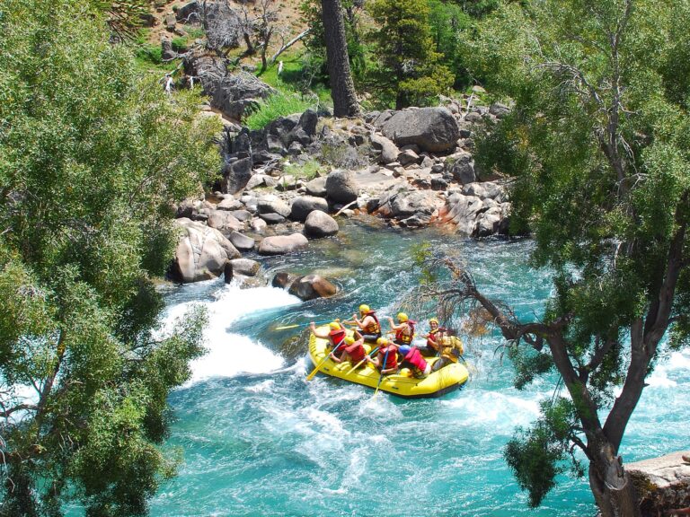 Verano Activo: ¡Descubre Aventuras Imperdibles!