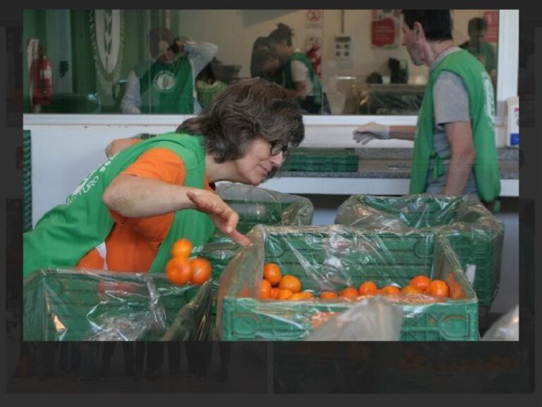 Antes de las Fiestas: Consejos para Reducir el Desperdicio de Alimentos