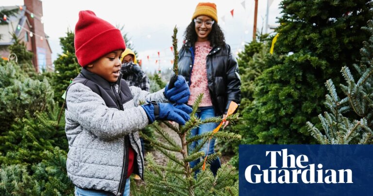 Guía definitiva: Cómo elegir el árbol de Navidad perfecto al mejor precio en el Reino Unido
