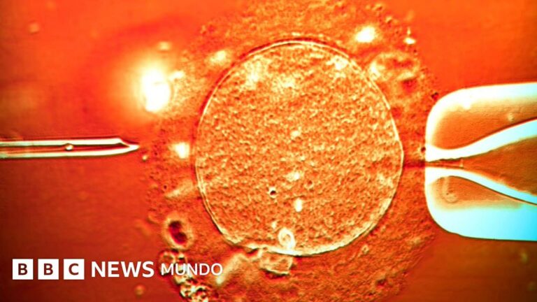 Esperma de donante con gen cancerígeno: 200 niños concebidos, varios con tumores y algunos han muerto