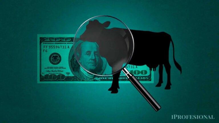 Invierte en Ganadería: Gana hasta un 8% sobre la Inflación Sin Experiencia en el Campo