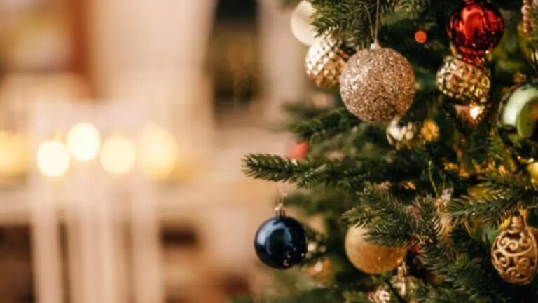 El Árbol de Navidad Más Económico para Cuidar tu Bolsillo