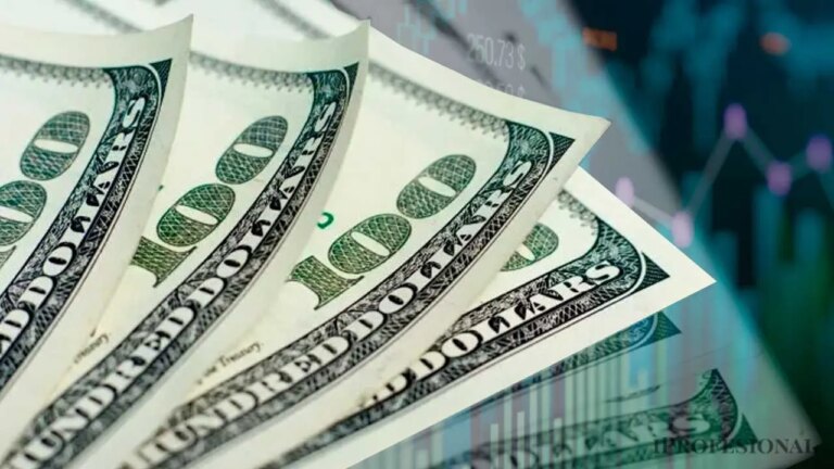 Detrás de la Demanda de Divisas: ¿Qué Está Sucediendo en el País?