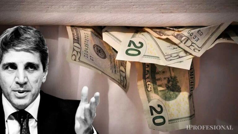 Cómo la ley pretende captar parte de los u$s260.000 millones en reservas