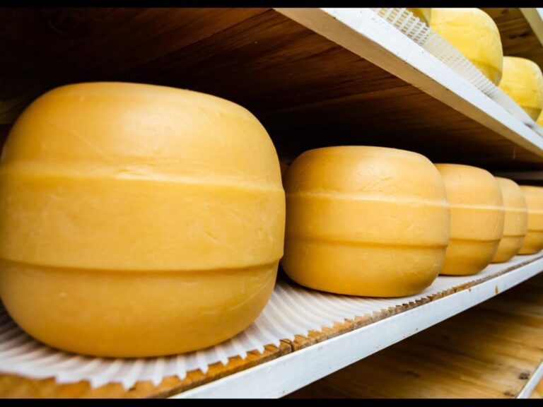 Queso de Santa Fe se lleva la plata en el Mundial de Suiza