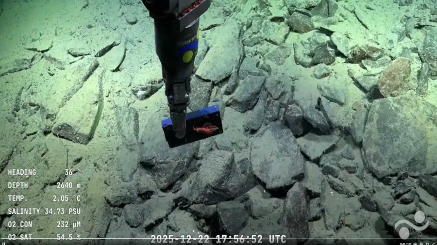 La expedición del CONICET encontró un VHS a 2600 metros de profundidad