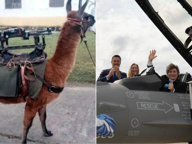 De Llamas Metralletas a Aviones de Combate: Un Cambio Impactante