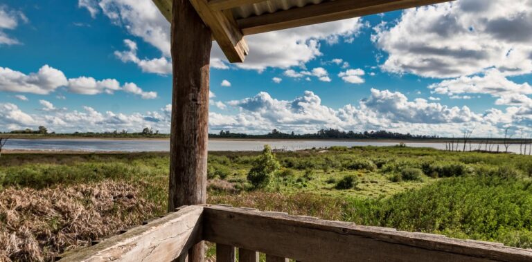 10 Planes Económicos Imprescindibles para el Verano en Argentina