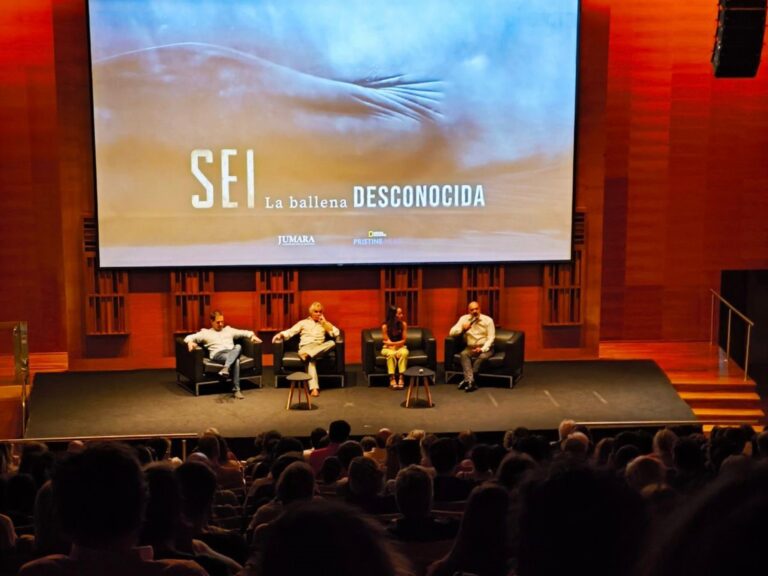 Descubre la fascinante historia de las ballenas Sei en el Golfo San Jorge con este nuevo documental