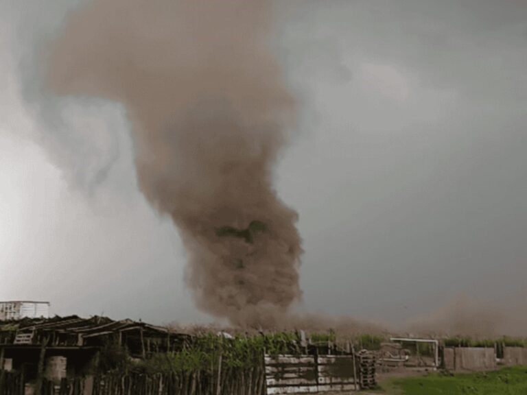Tornados azotan el centro de la provincia: techos volados y árboles arrancados