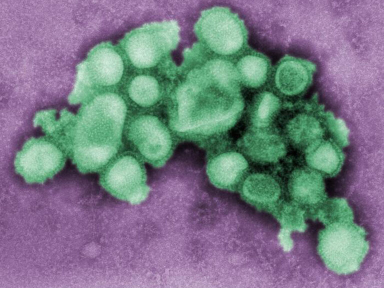Alerta por la gripe H3N2: Vacúnate antes de que llegue a Argentina