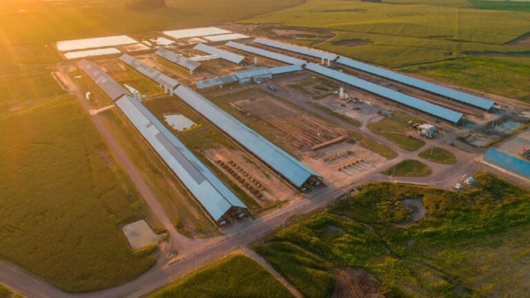 Adecoagro podría adquirir el 90% de Profertil: ¡La noticia del año en el agro!