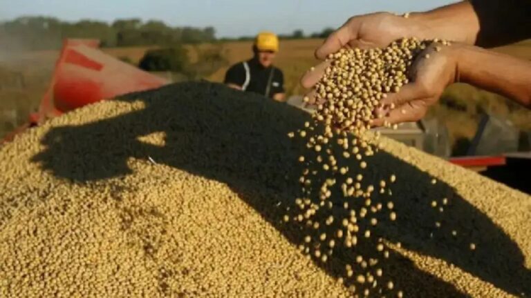 Impacto de la Baja de Retenciones en la Participación del Estado en la Renta Agrícola